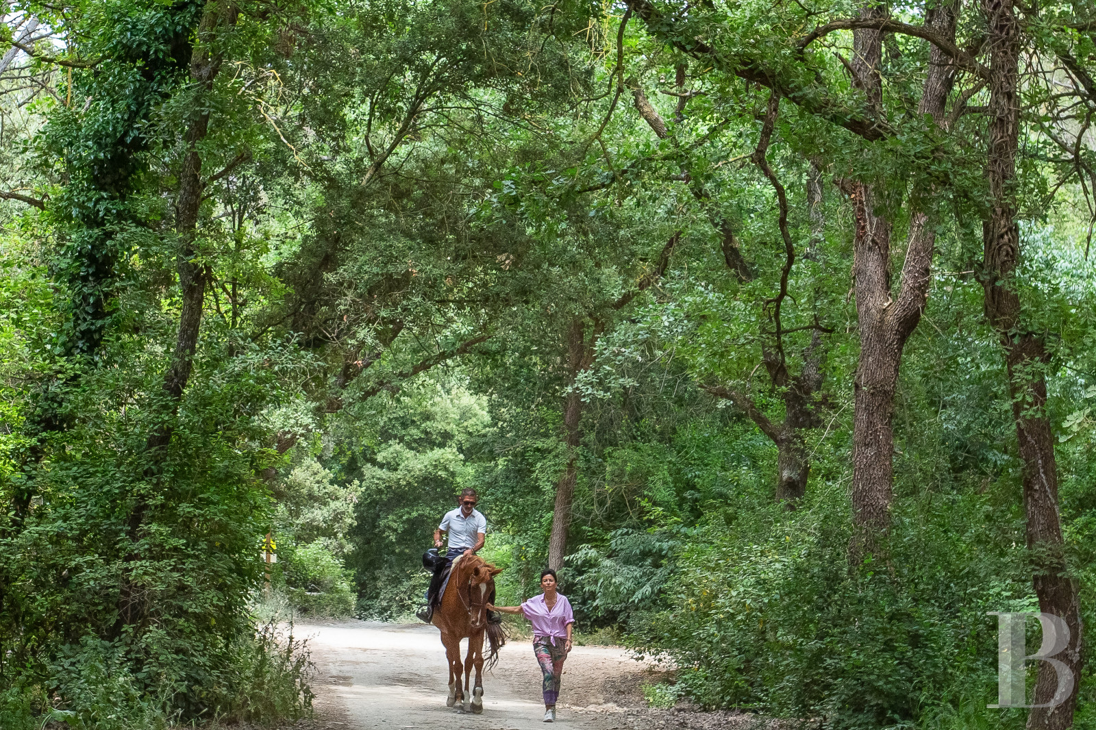 An estate dedicated to holidays and horse riding between Aubagne and Saint-Cyr-sur-Mer in the Bouches-du-Rhône department  - photo  n°8